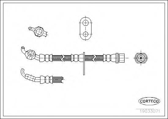 CORTECO 19033071 Гальмівний шланг
