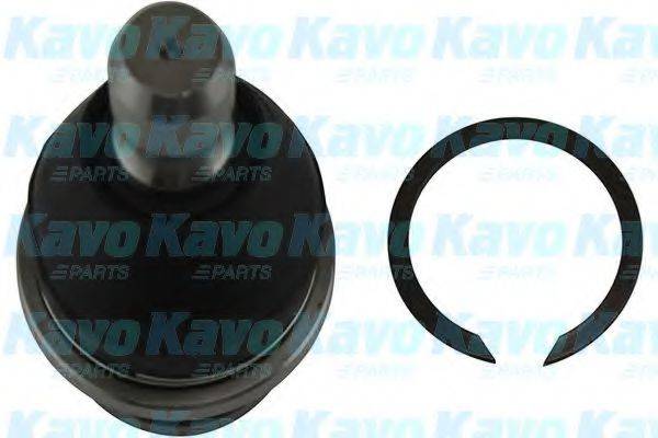 KAVO PARTS SBJ6550 несучий / напрямний шарнір