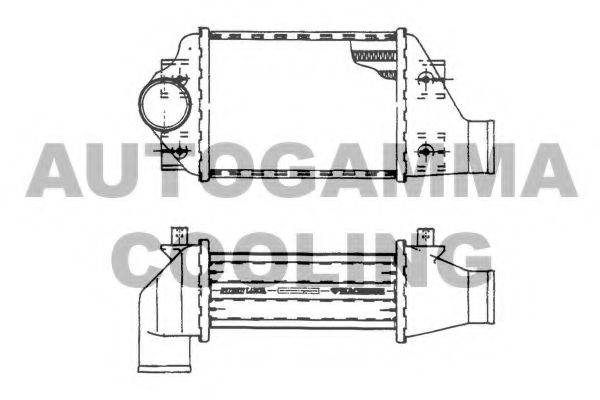 AUTOGAMMA 101481 Інтеркулер