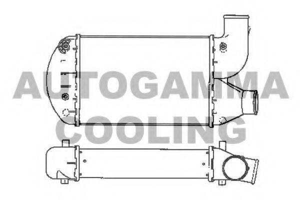AUTOGAMMA 101912 Інтеркулер