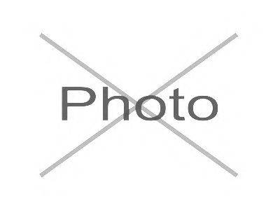 CTE CBH26021 Підвіска, важіль незалежної підвіски колеса