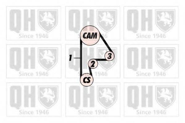 QUINTON HAZELL QBK389 Комплект ременя ГРМ